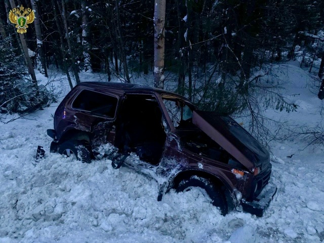    Отряд противопожарной службы Прионежского района