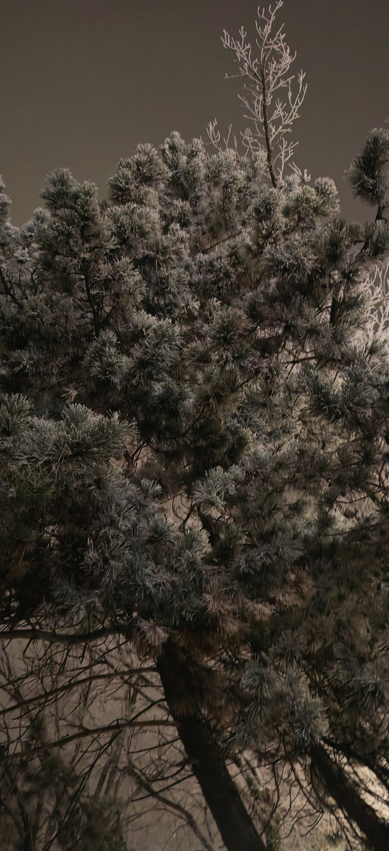 Возвращалась вчера домой с работы, а тут такая красотища