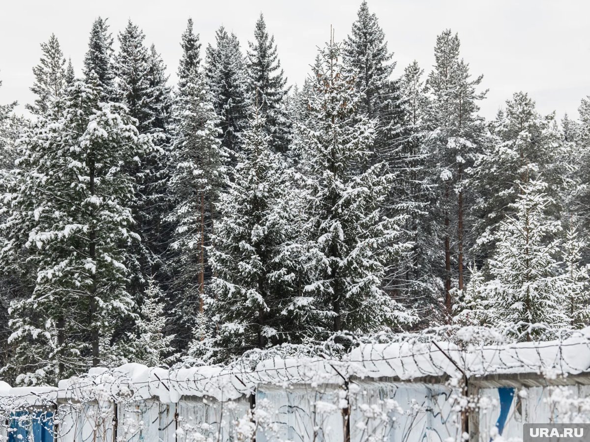     Семья, пропавшая в тайге Красноярского края, не была членами секты