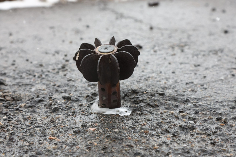    Наталья Шатохина/NEWS.ru