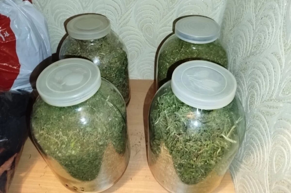    В Оренбурге сотрудниками УНК области изъято более 1300 гр марихуаны у местного жителя.