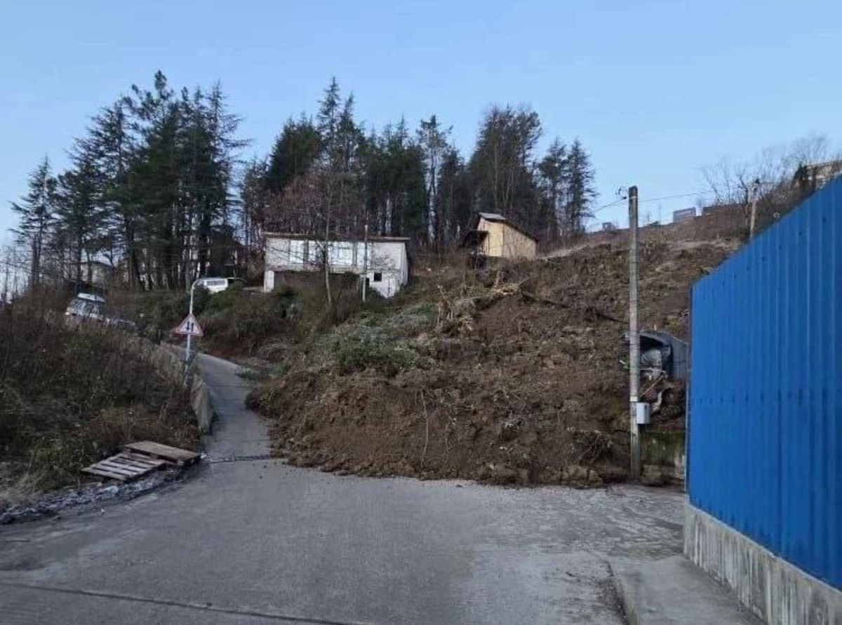 Фото: ДТП Сочи / Telegram