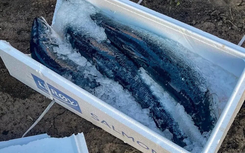    Фото: Брянская таможня