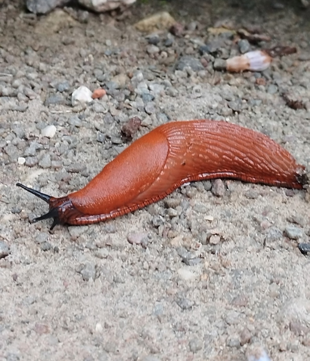 Лежать и ползти в направлении цели - значит держать фокус внимания на важном... 