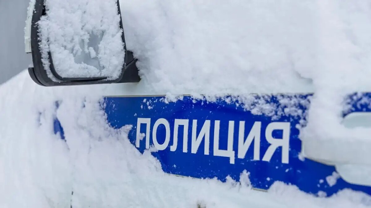     © МВД Медиа