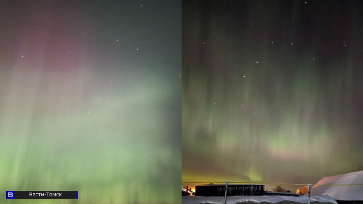    Фото: Елена К.