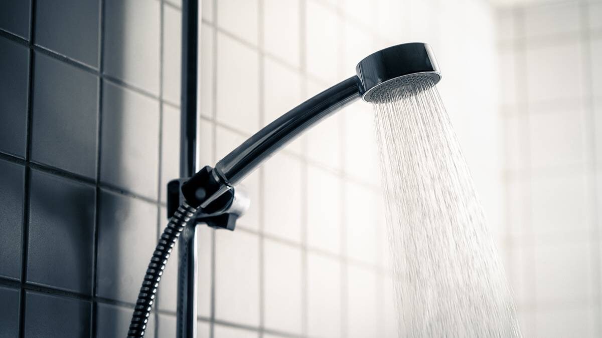    Фото: Shutterstock