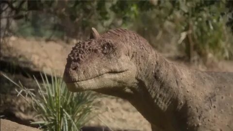 Майюнгазавр. Кадр из сериала "Доисторическая планета".