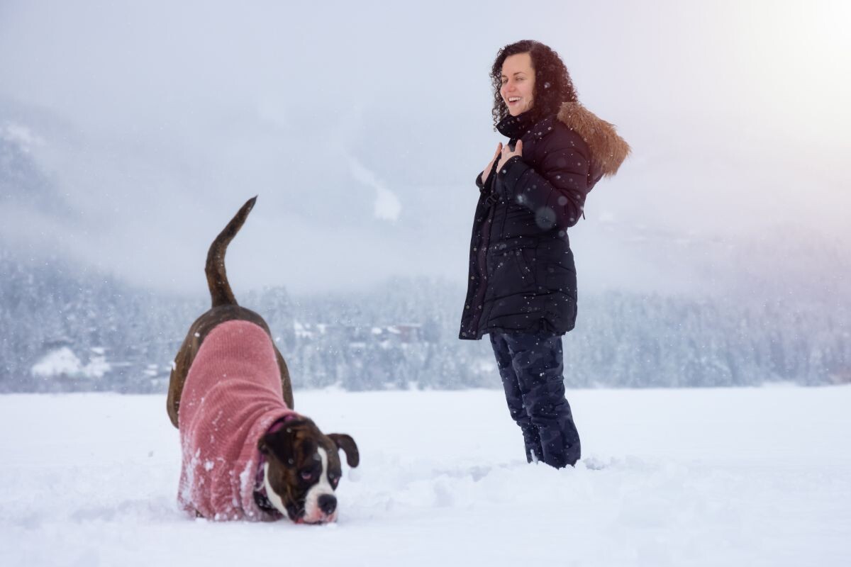 Женщина с боксёром 