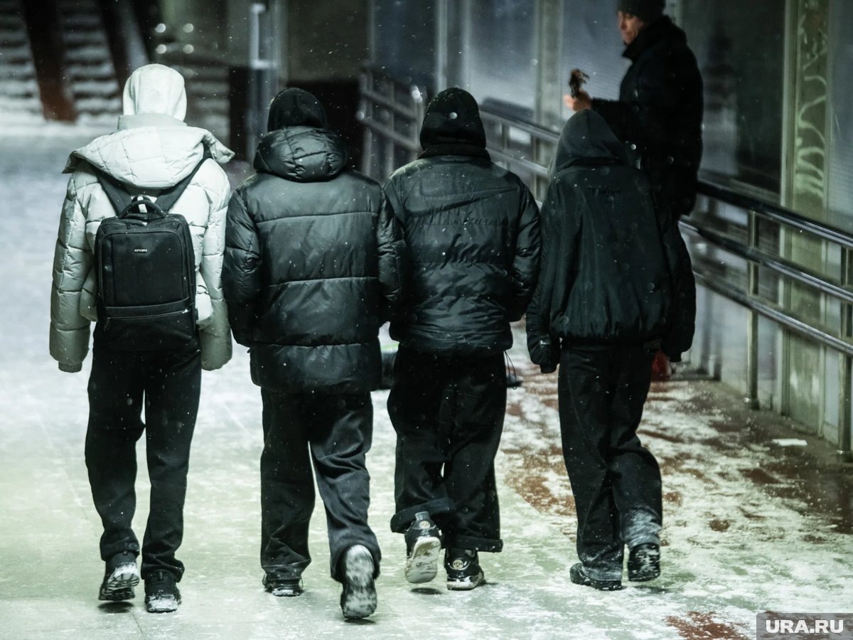     Курганских школьников предупредили об отмене занятий