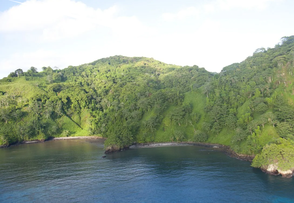 скриншот автора