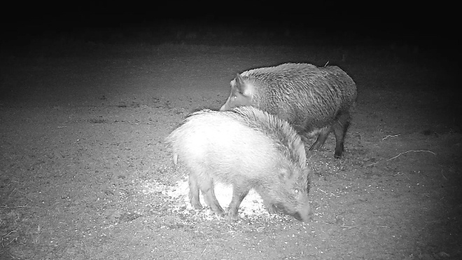 Фото: Дирекция ООПТ Ленинградской области