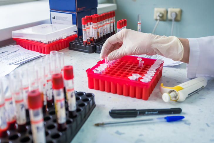    Фото Андрея Заржецкого