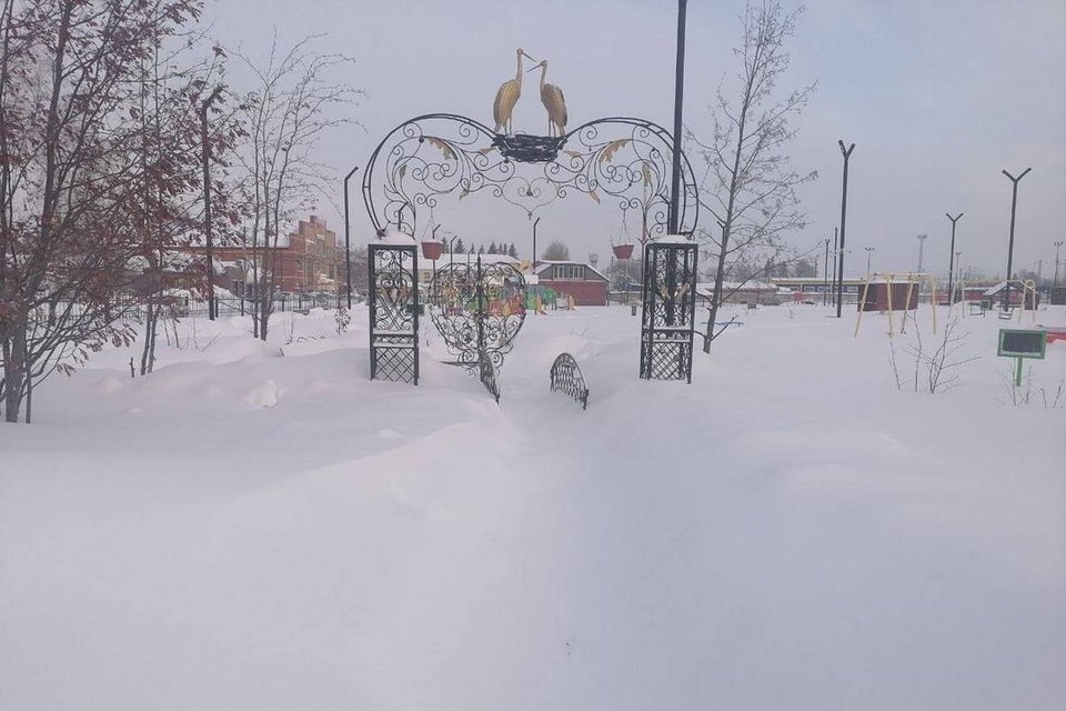    Парк был полностью заметен снегом. Фото: прокуратура Новосибирской области