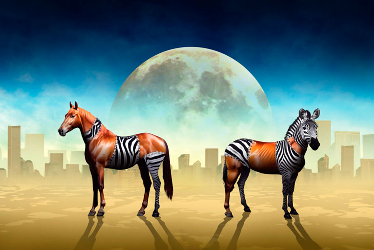 У человека нет устойчивого представления о себе и своих ценностях, что делает его требования к миру хаотичными