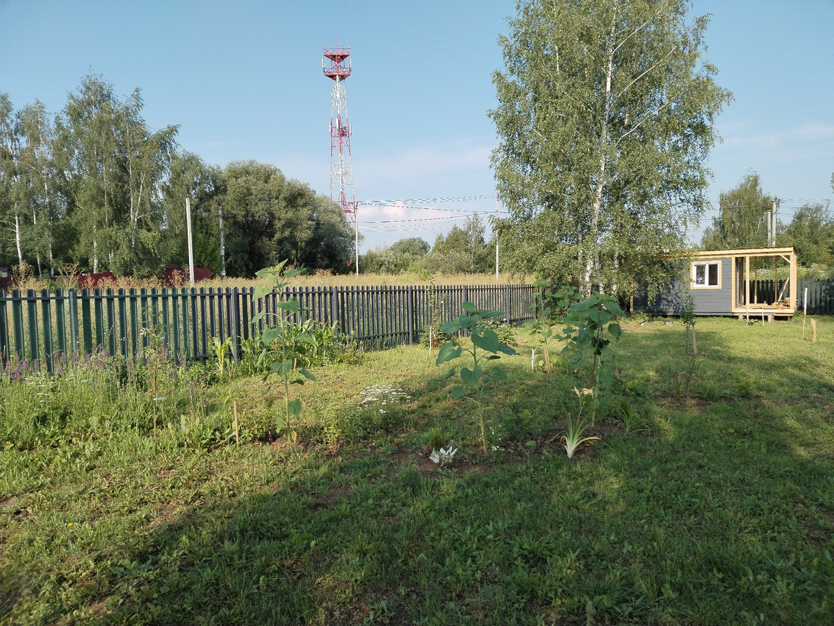 Вот она, "нелюбовь" моя ретрансляторная