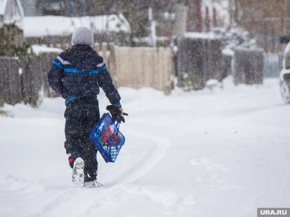     Уроки пройдут в дистанционном режиме