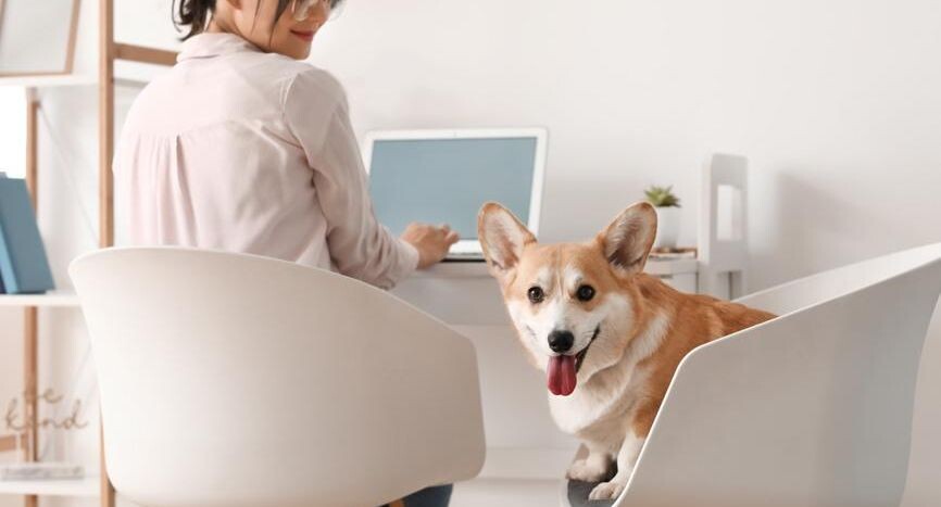    Pixel_shot / Фотобанк Лори