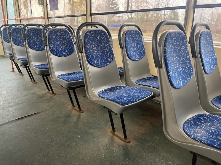     Фото: "МК в Орле"/Марианна Альянова