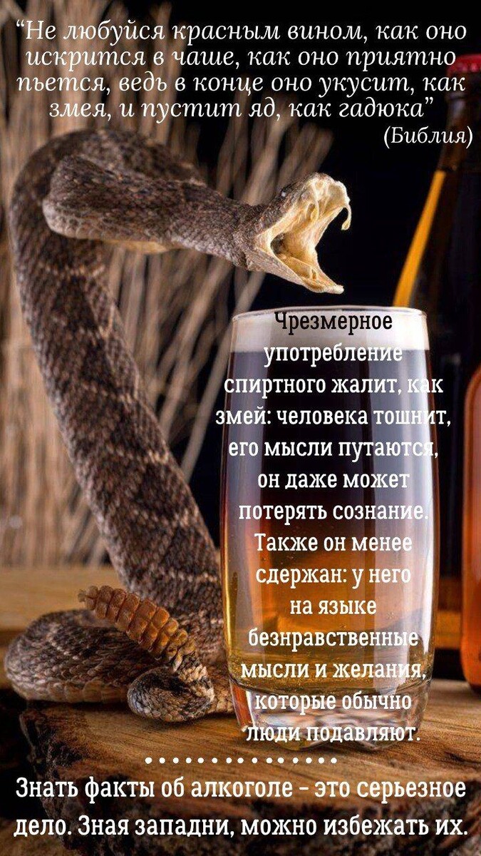 Фото из открытого источника