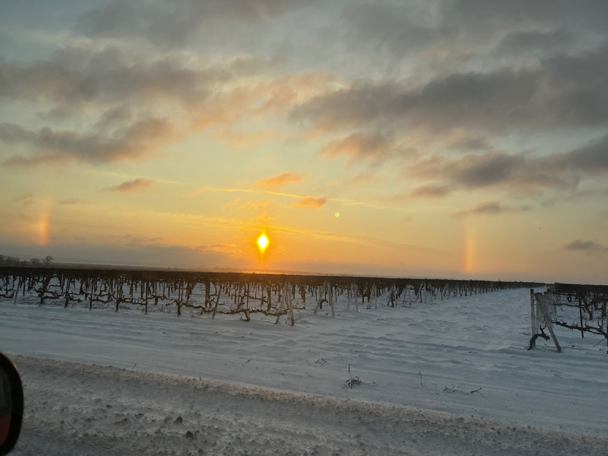 Фото автора. 