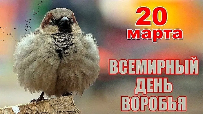 Это экологический праздник, цель которого — привлечь внимание к охране воробьёв и других диких птиц, живущих в городской среде. 