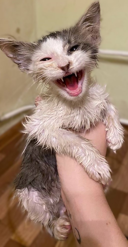 из личного архива