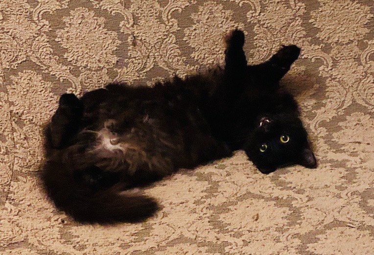 Из личного архива