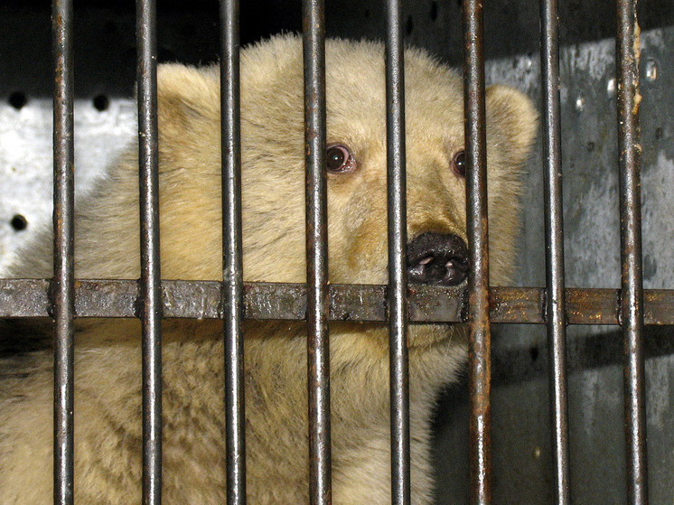     Фото: Геннадий Черкасов