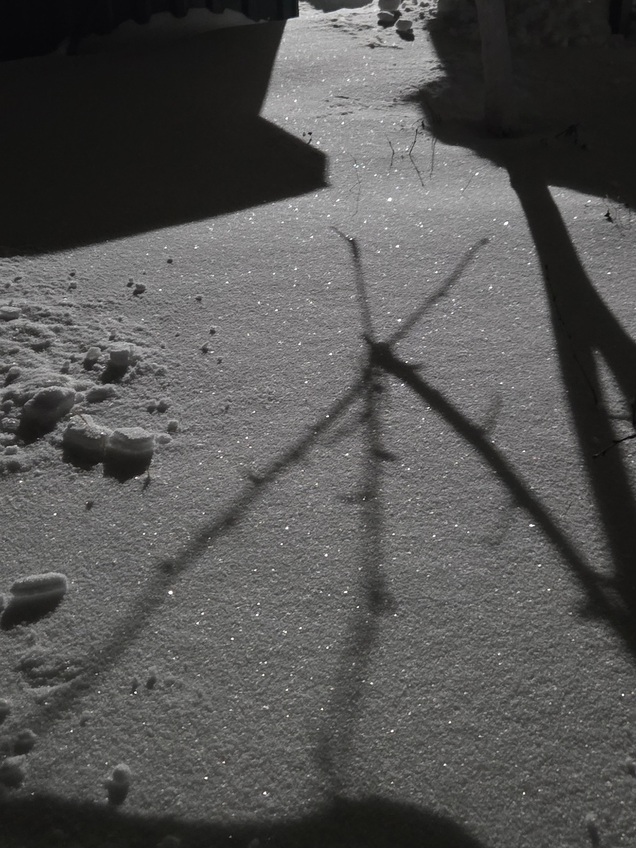 Снег, настоящий!!!