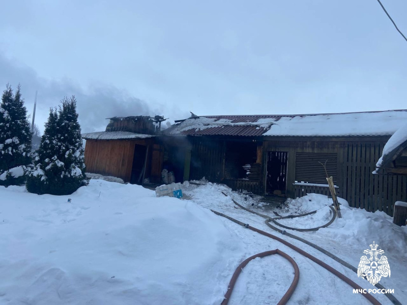 Фото: ГУ МЧС России по Костромской области