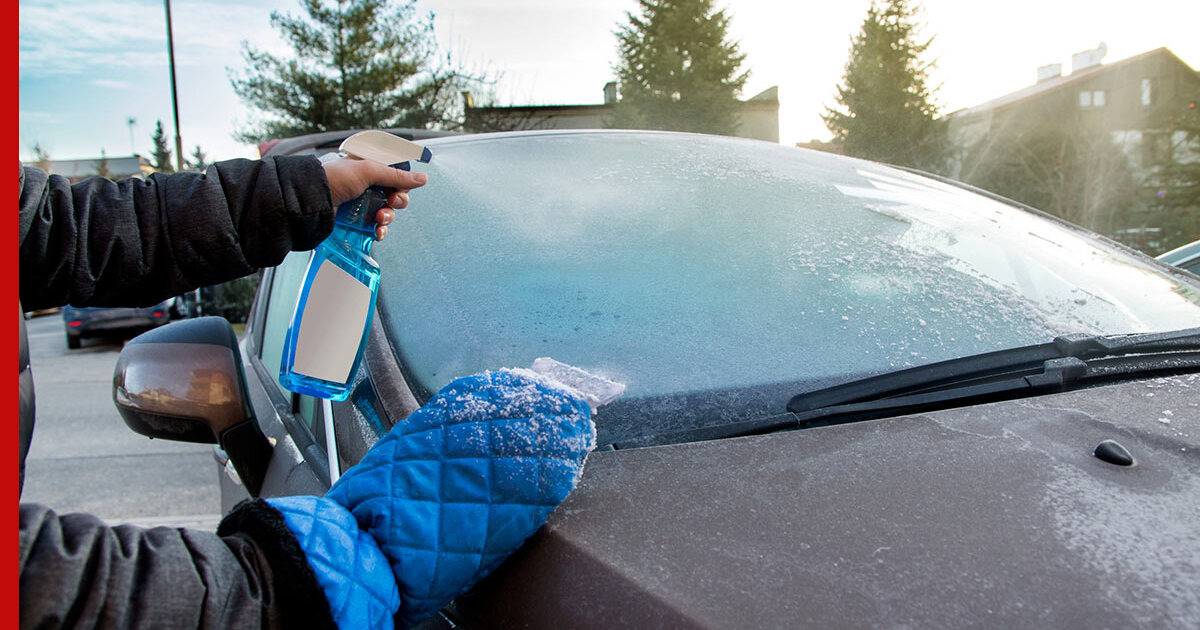 Фото из открытых источников 