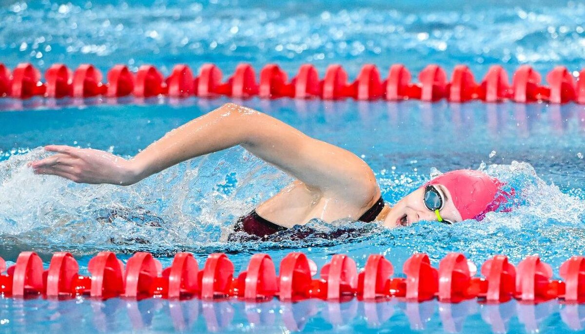    © Владимир Горшков