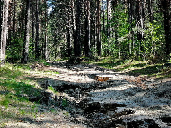 (все фото из архива автора 🤳)