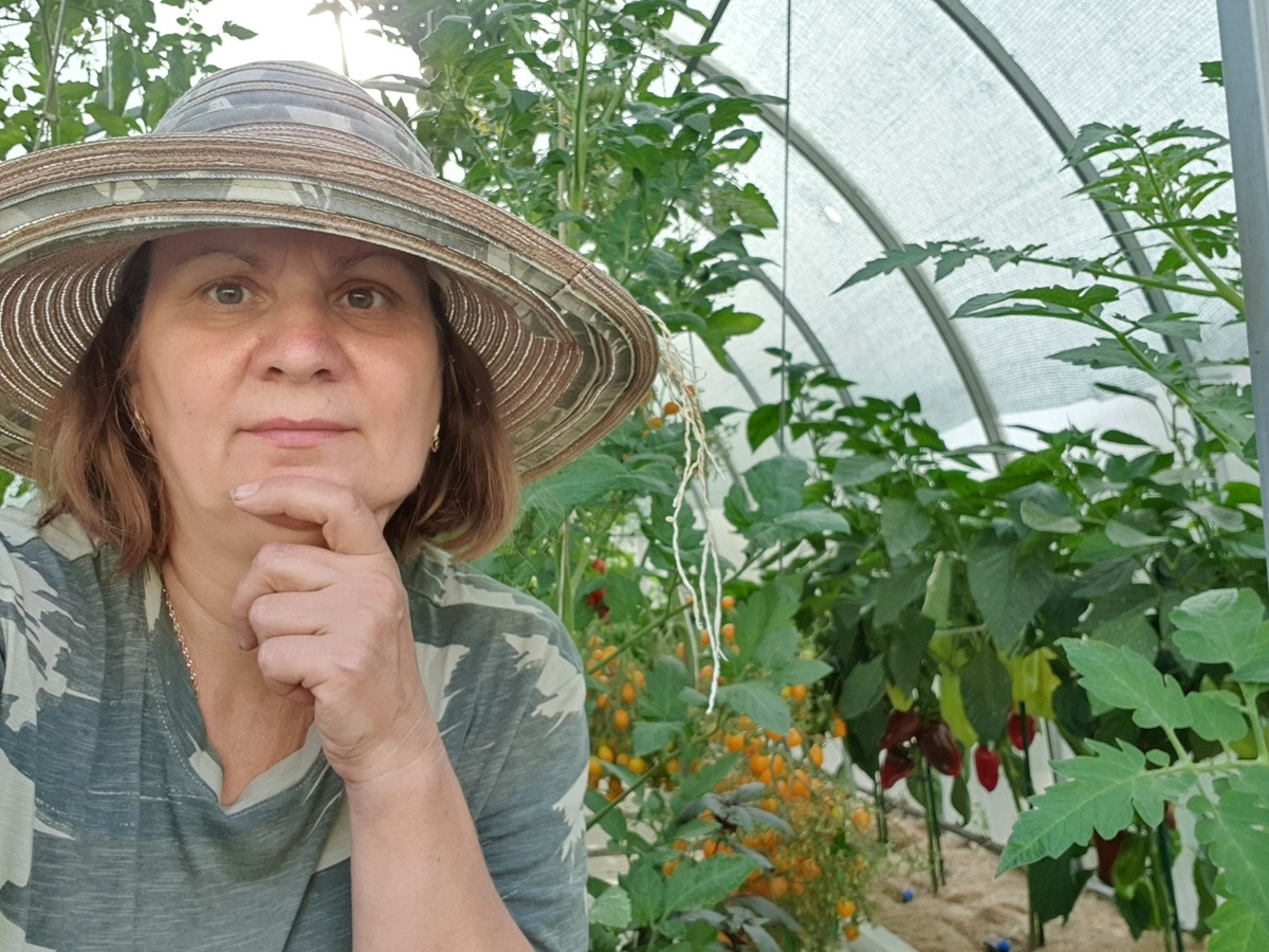 Вдали от города. Теплица. Перец.
