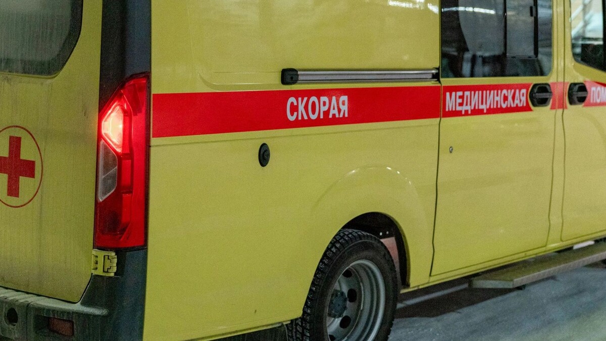    Фото: Сергей Зубков/«Ямал-Медиа»