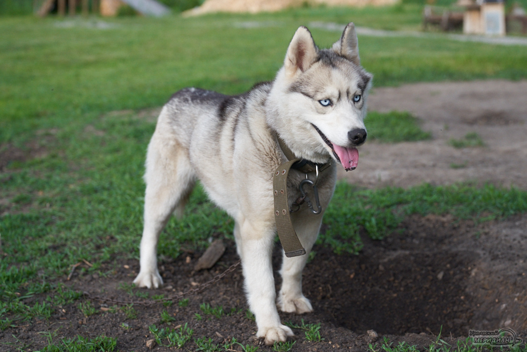    Фото: Лидия Аникина © ИА «Уральский меридиан»