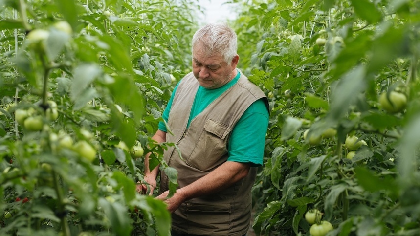 Пять лет ведения записей - основа честного анализа