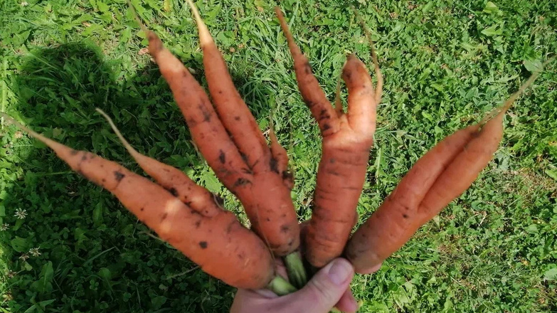 Результат экспериментов с разрекламированными новинками