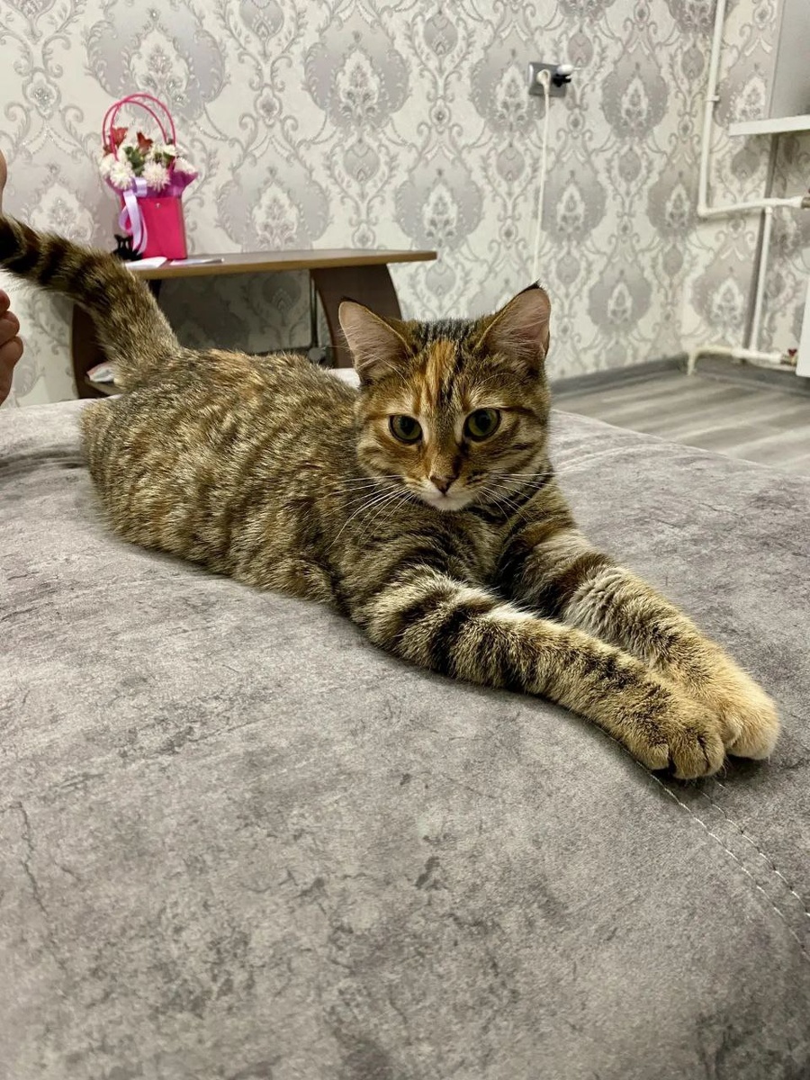 Семья решила назвать её просто и ласково — Киса.