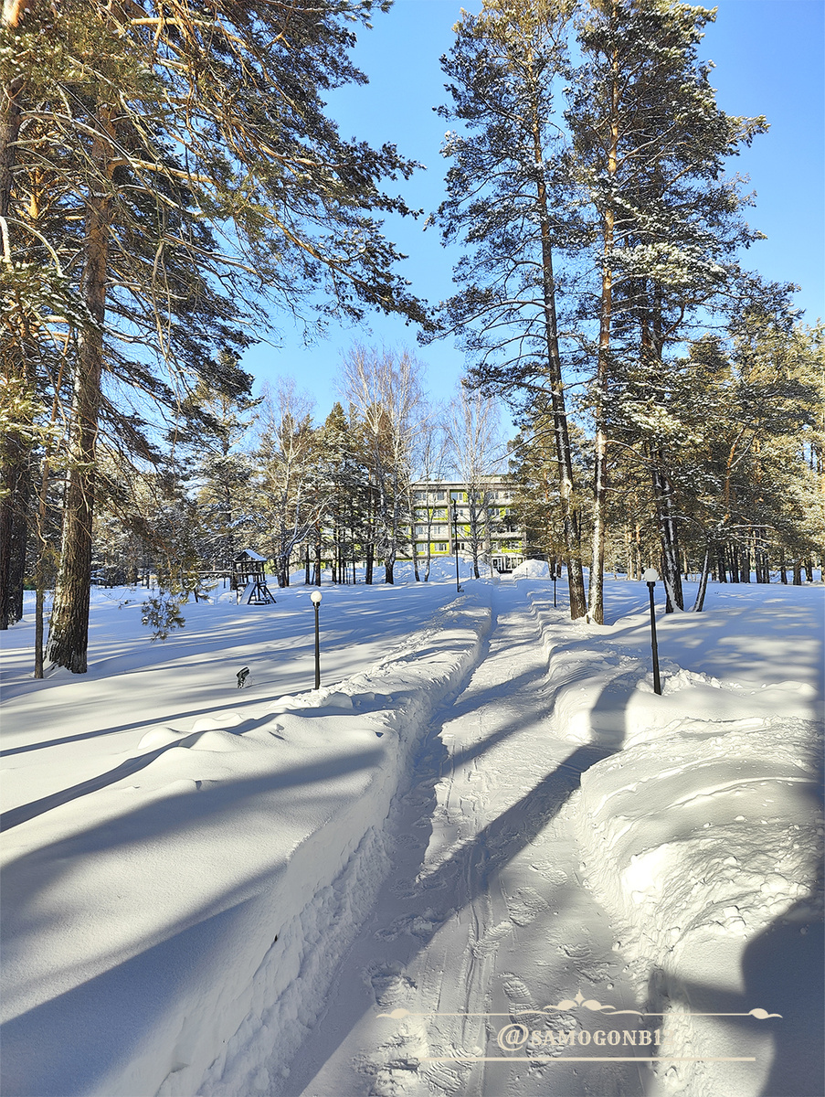 Гуляем по лесу и дышим свежим воздухом. Фото автора ©