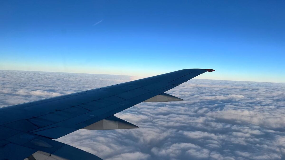    Анна Сальникова