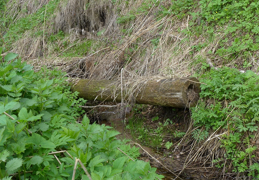 фото из свободного доступа