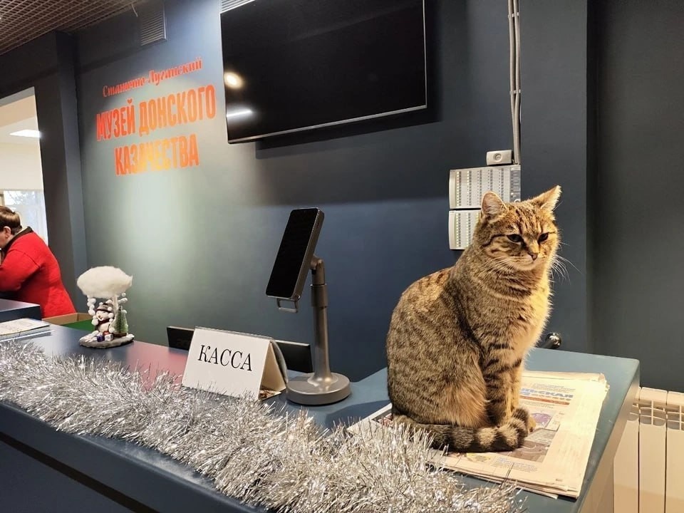    Кошка Любовь Дмитриевна – старший научный сотрудник музея Донского казачества в Станице Луганской Александра АНТОНОВА
