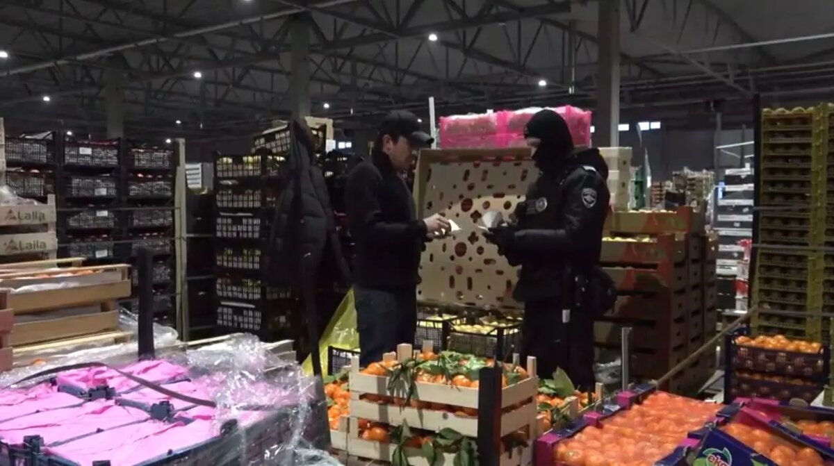    Фото: кадр видео ГУ МВД по Петербургу и Ленобласти