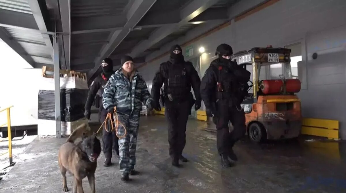    Фото: кадр видео ГУ МВД по Петербургу и Ленобласти