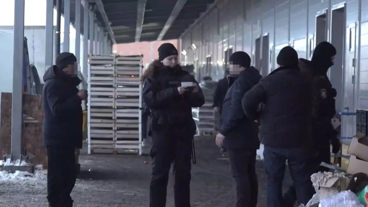    Фото: кадр видео ГУ МВД по Петербургу и Ленобласти