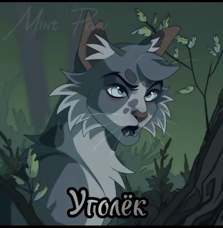 Норм Уголёк