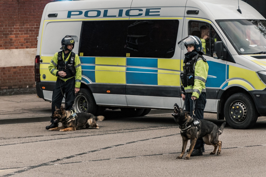    Shutterstock/FOTODOM