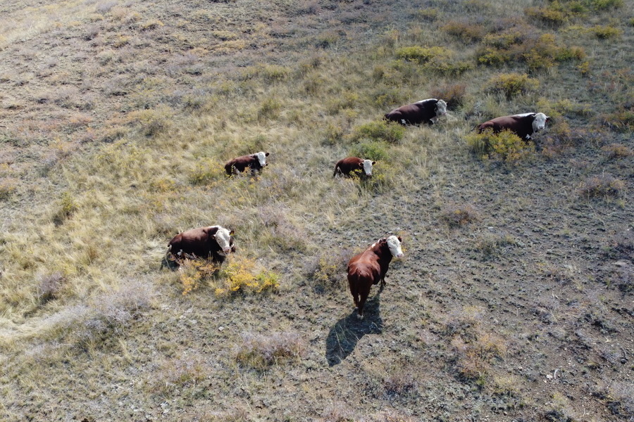 Источник фото: ElDala.kz